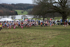 Girls under-13s, 2018 Northern Cross Country Champs., Harewood House, Leeds. Photo: David T. Hewitson/Sports for All Pics